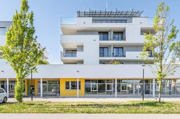 Gewerbeobjekt kaufen in 4490 St. Florian (Bild 1)
