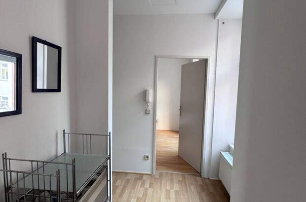 Altbauwohnung mieten in 1200 Wien (Bild 5)