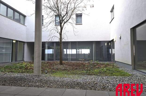 Gewerbeobjekt mieten in 4201 Gramastetten (Bild 4)