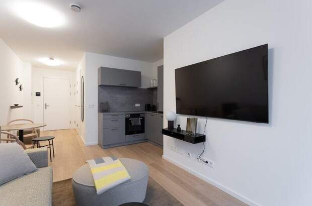 Terrassenwohnung kaufen in 1010 Wien (Bild 5)