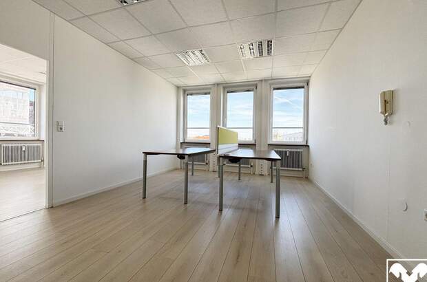 Gewerbeobjekt mieten in 4600 Wels (Bild 5)