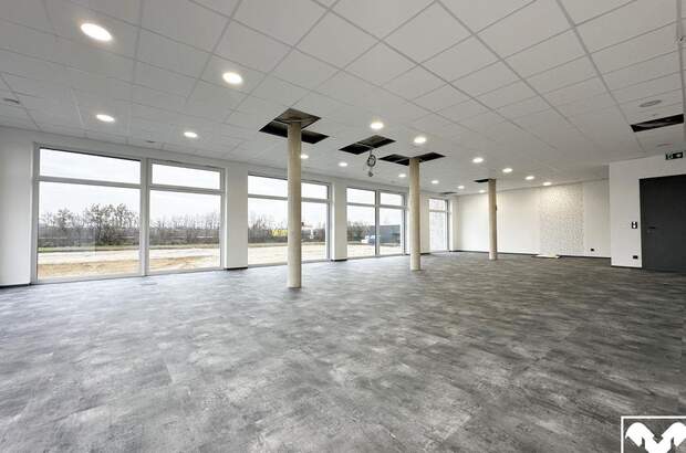 Gewerbeobjekt mieten in 4600 Wels (Bild 3)