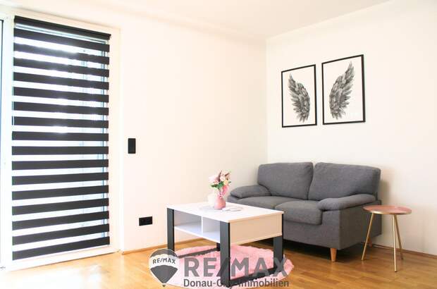 Terrassenwohnung kaufen in 1220 Wien (Bild 1)