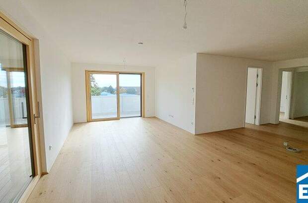 Terrassenwohnung kaufen in 7100 Neusiedl (Bild 1)