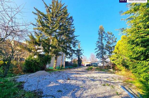 Grundstück kaufen in 1170 Wien (Bild 5)