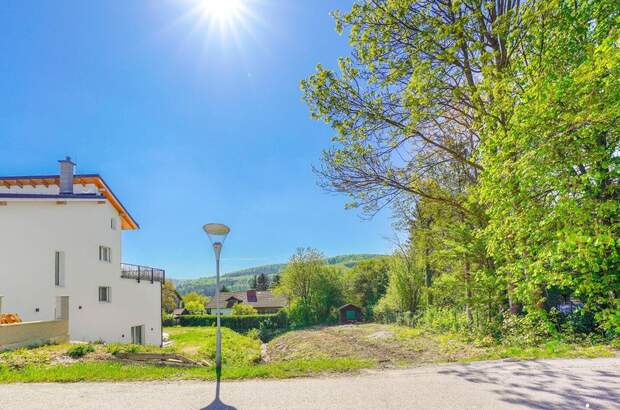 Grundstück kaufen in 3021 Pressbaum (Bild 4)