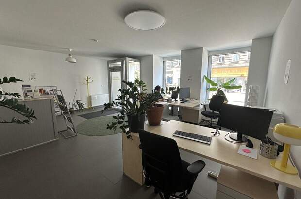 Gewerbeobjekt mieten in 1090 Wien (Bild 5)