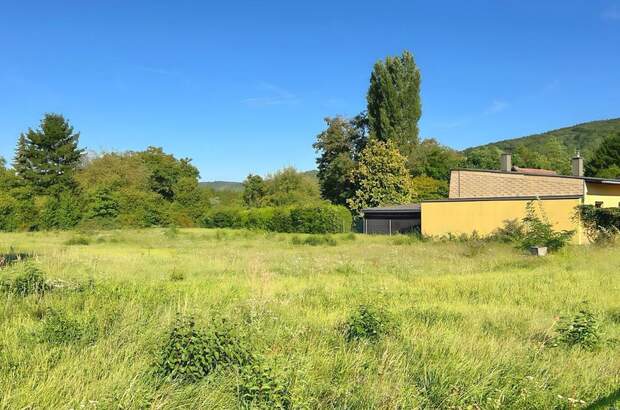 Grundstück kaufen in 3424 Wolfpassing (Bild 3)