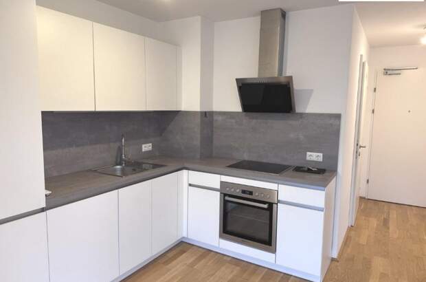 Terrassenwohnung mieten in 1210 Wien (Bild 2)