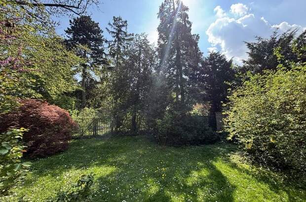 Grundstück kaufen in 1190 Wien