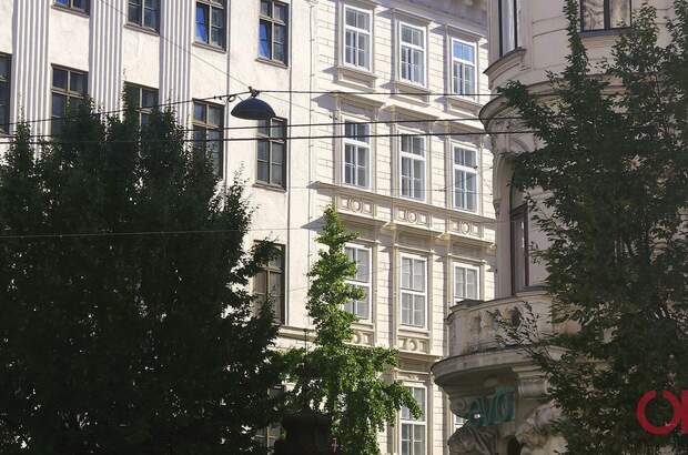 Gewerbeobjekt mieten in 1090 Wien (Bild 3)