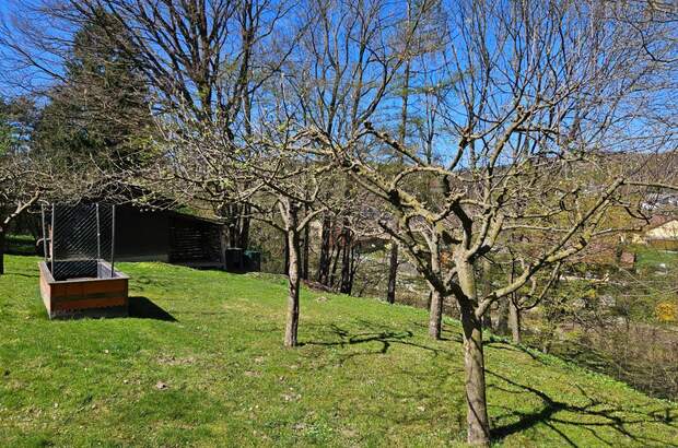 Einfamilienhaus kaufen in 3052 Innermanzing (Bild 3)