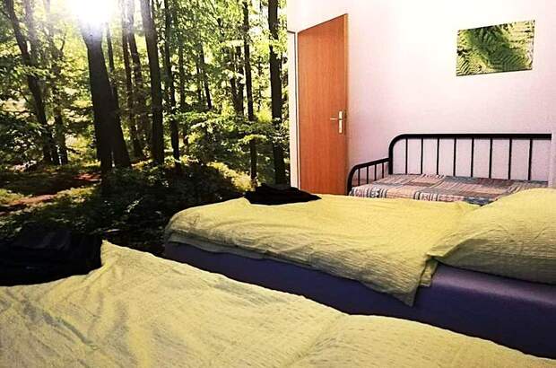 Einfamilienhaus kaufen in 3611 Großheinrichschlag (Bild 5)