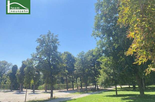 Eigentumswohnung in 1200 Wien (Bild 5)