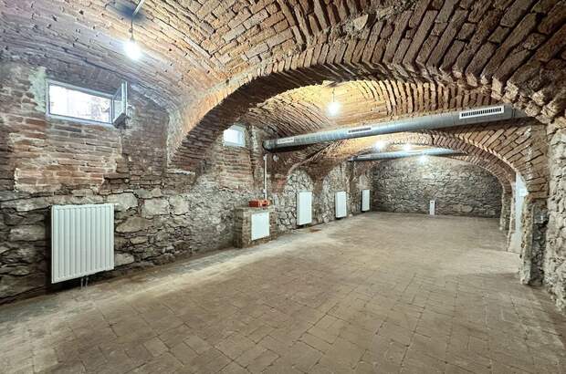 Gewerbeobjekt mieten in 8010 Graz (Bild 1)