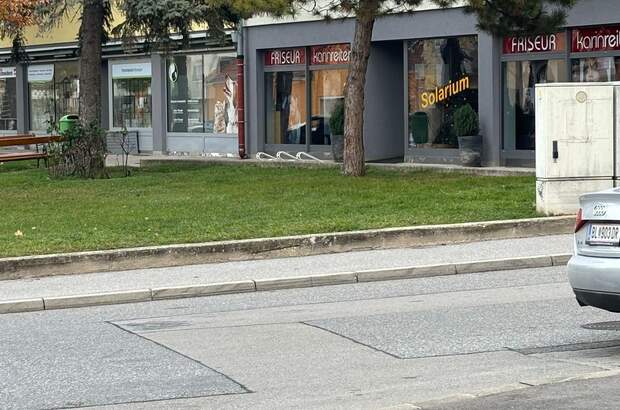 Gewerbeobjekt mieten in 2401 Fischamend (Bild 5)