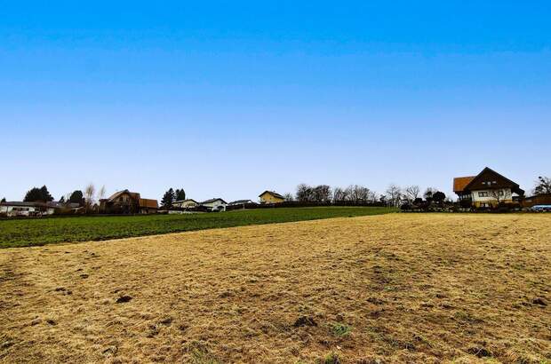 Grundstück kaufen in 8072 Fernitz (Bild 1)