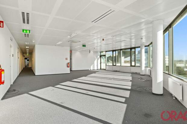 Gewerbeobjekt mieten in 1110 Wien (Bild 5)