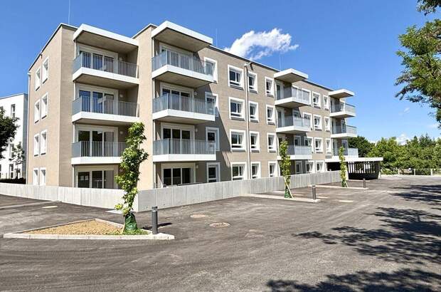 Wohnung mit Balkon mieten in 4713 Gallspach (Bild 1)