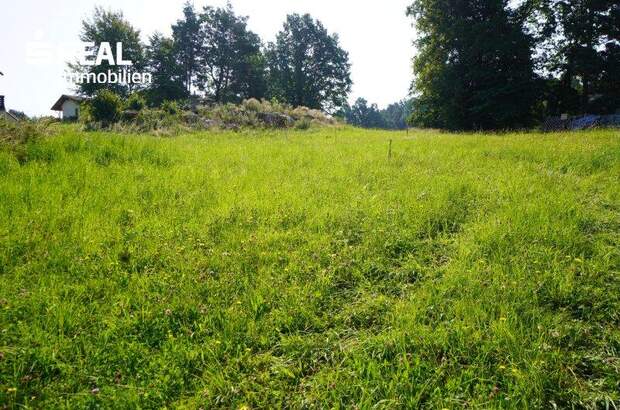 Grundstück kaufen in 3962 Heinrichs (Bild 4)