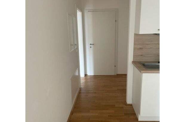 Terrassenwohnung mieten in 1230 Wien (Bild 5)