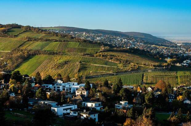 Grundstück kaufen in 3400 Klosterneuburg (Bild 2)