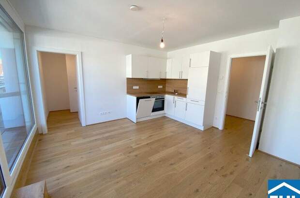 Terrassenwohnung mieten in 1100 Wien (Bild 1)