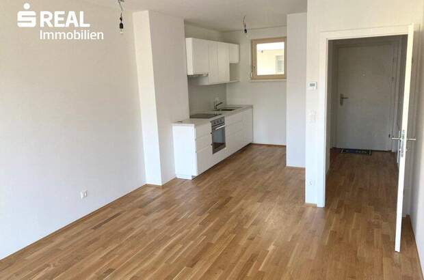 Terrassenwohnung mieten in 2340 Mödling (Bild 3)