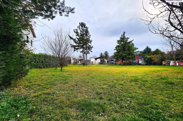 Grundstück kaufen in 2283 Obersiebenbrunn (Bild 1)