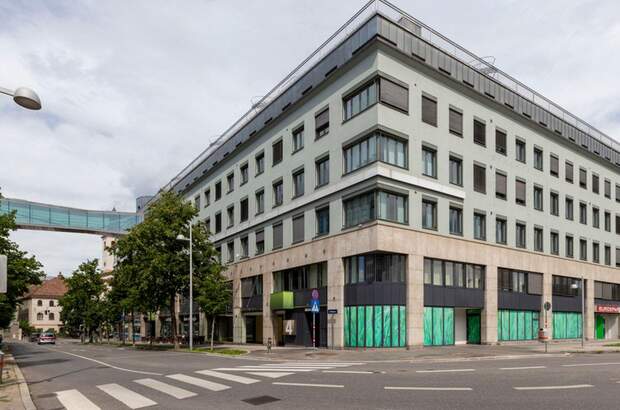 Gewerbeobjekt mieten in 1030 Wien (Bild 2)