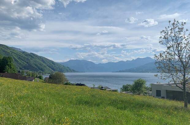 Grundstück kaufen in 4852 Weyregg (Bild 2)