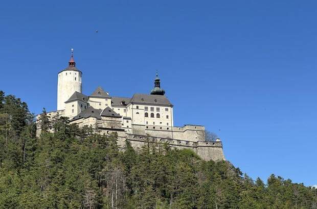 Haus kaufen in 7212 Forchtenstein (Bild 4)