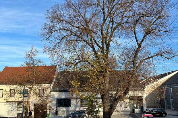 Terrassenwohnung mieten in 3701 Großweikersdorf (Bild 4)