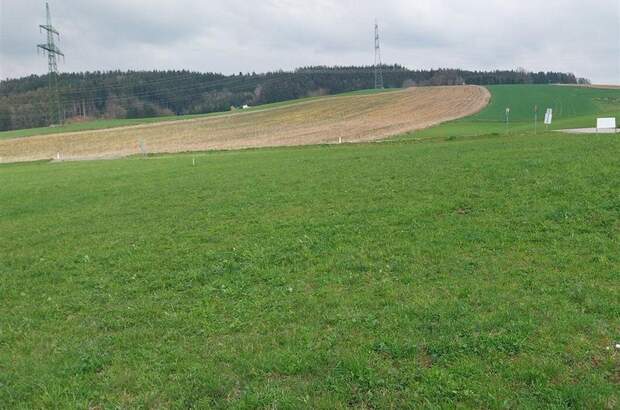 Grundstück kaufen in 4942 Wippenham (Bild 2)