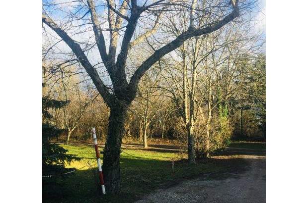 Mietwohnung in 2320 Rannersdorf (Bild 2)