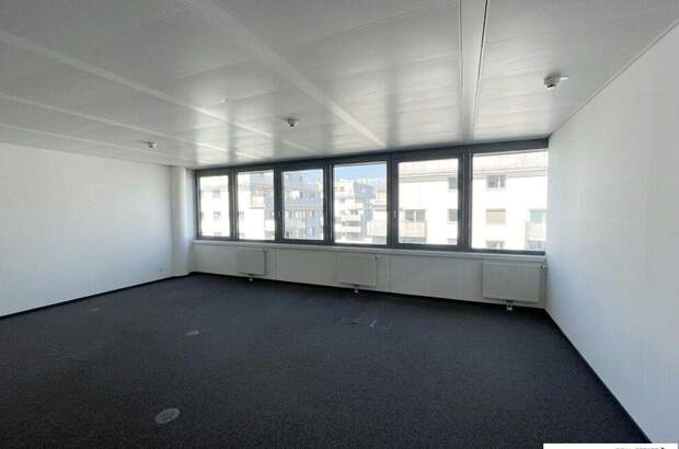 Gewerbeobjekt mieten in 1020 Wien (Bild 4)