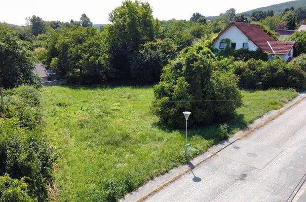 Grundstück kaufen in 7202 Bad Sauerbrunn (Bild 1)