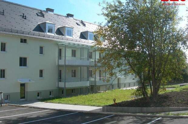 Mietwohnung in 4843 Ampflwang (Bild 1)
