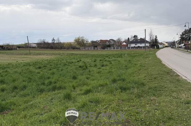 Grundstück kaufen in 2112 Hetzmannsdorf (Bild 2)