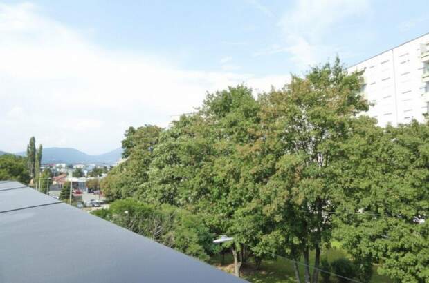 Wohnung mieten in 8020 Graz (Bild 5)