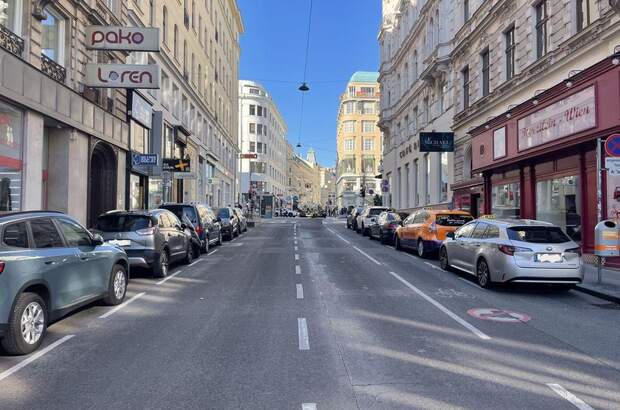 Gewerbeobjekt mieten in 1060 Wien (Bild 3)