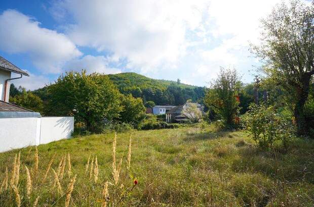 Grundstück kaufen in 3012 Wolfsgraben (Bild 1)