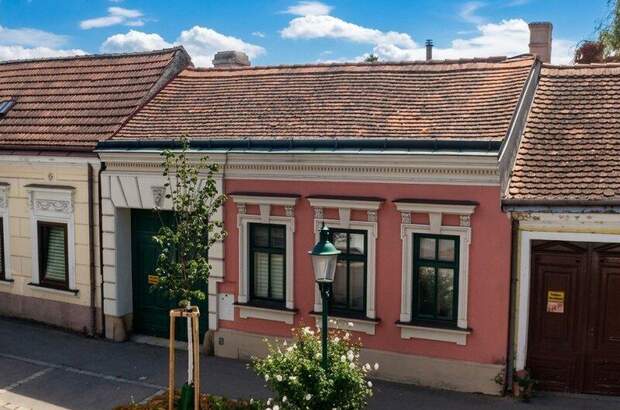 Haus kaufen in 1210 Wien (Bild 1)