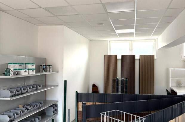 Gewerbeobjekt mieten in 8642 Sankt Lorenzen (Bild 5)