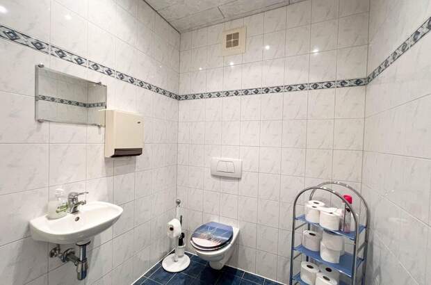 Gewerbeobjekt mieten in 9800 Spittal (Bild 4)