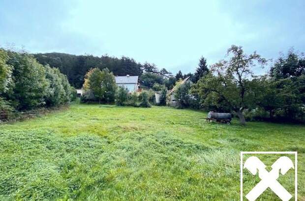 Grundstück kaufen in 2733 Grünbach (Bild 1)