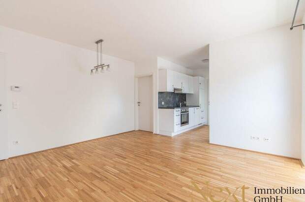 Terrassenwohnung kaufen in 4400 Steyr (Bild 3)