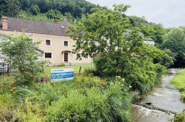 Haus kaufen in 3543 Krumau (Bild 1)