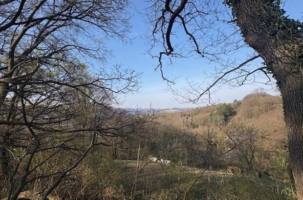 Grundstück kaufen in 3400 Klosterneuburg (Bild 3)