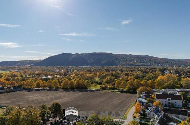 Einfamilienhaus kaufen in 2103 Langenzersdorf (Bild 2)